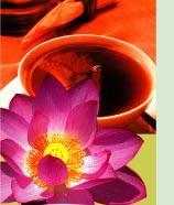  Lotus   tea 