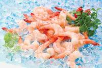  Frozen  Black Tiger  Shrimp   CPTO 