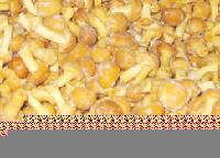 IQF Nameko Mushroom