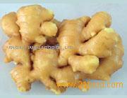 fresh ginger