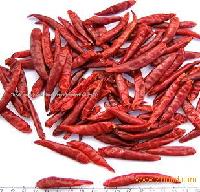  Tianjin  Chilli