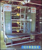 Auto-vehicle Feeding System