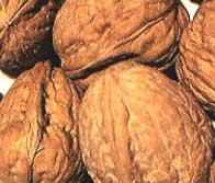 walnut kernels