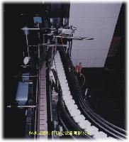 Keel chain conveyor