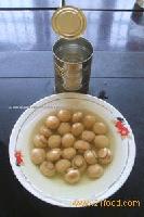canned mushroom WHOLE