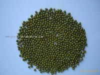 Green mung beans