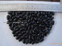 Black beans