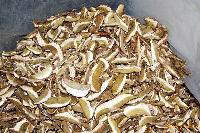Dried boletus edulis slices A-Grade