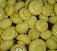 salted mushroom