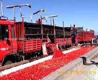  tomato   processing   equipment 