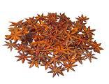 Star aniseed