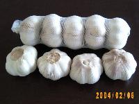 Pure White garlic