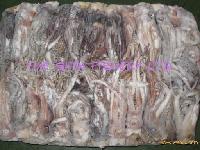Frozen  Illex   Squid   Tentacle 