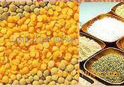 Grain