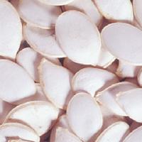 pumpkin seeds