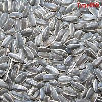 sunflower seeds