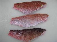  FROZEN   FILLET  OF RED  SNAPPER 