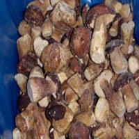 IQF   Boletus   Edulis 