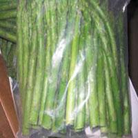 IQF Green Asparagus Spear
