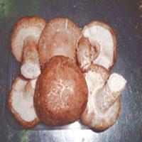Shiitake