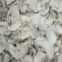  AD   Mushroom 