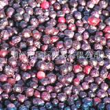 IQF Blueberry