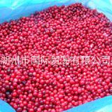  IQF   Lingonberry 