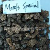 Morel  Special