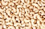 CASHEW NUT KERNEL ORIGIN VIETNAM