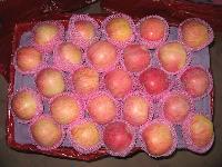 bagged fuji apple