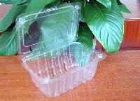 Plastic Fruit Clamshell/Fruit Container