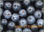  Fresh  Berries