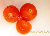 Lycopene,Chrysanthemum morifolium remat,Luteolin