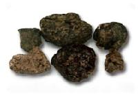 Original Propolis
