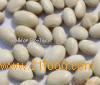White Kidney Bean Extract