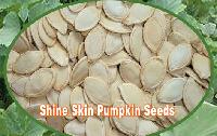 Shine Skin Pumpkin Seeds--New Crop, 2007