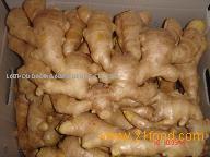  Air - dired   ginger 