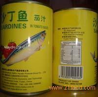 canned sardine