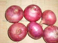 red onion