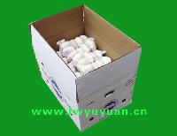 garlic for 10kg carton box