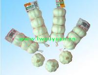  small   package   garlic 