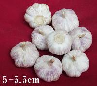 pure  white   garlic ,  normal   white   garlic 