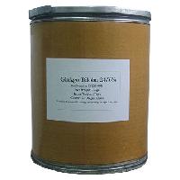 Ginkgo Biloba Extract