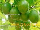 Luo Han Guo P.E. 80% Mogrosides