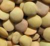 lentils