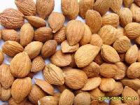  Bitter   Apricot   Kernels , Sweet  Apricot   Kernels 