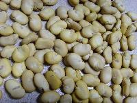 hand peeled broad bean, machine peeled broad bean