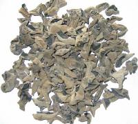 Black Fungus