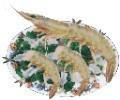 Shrimp