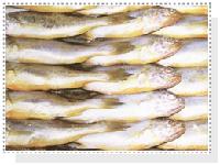 Sleeve fish